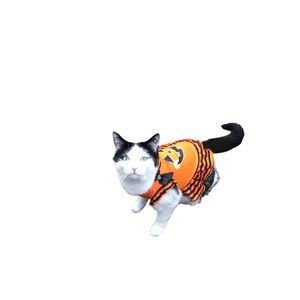 Pet costumes S-M lot of 3